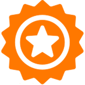 QUALITY ICON ORANGE